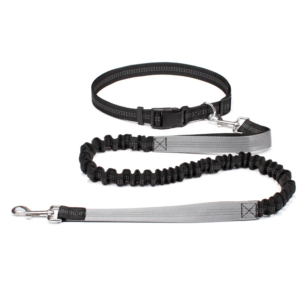 Hands-Free Dog Leash with Waist Belt