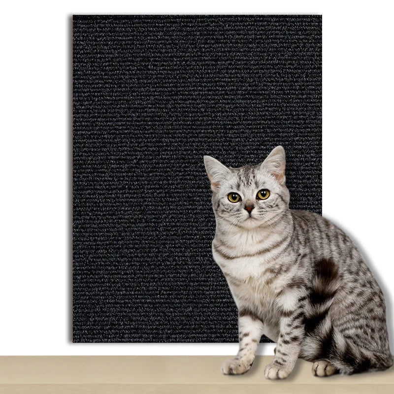 Cat Scratch Protector Mat
