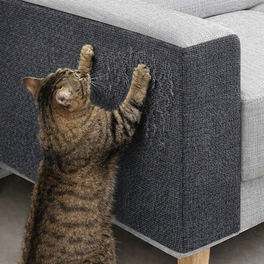 Cat Scratch Protector Mat