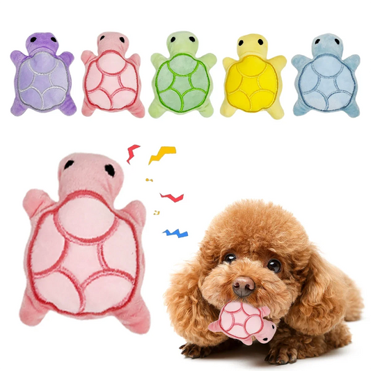 Plush Turtle Toy