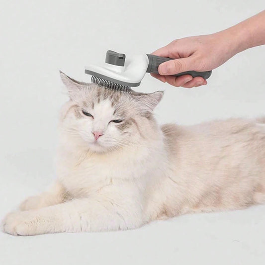 Anti-Slip Grooming Brush