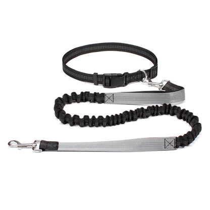 Hands-Free Dog Leash with Waist Belt