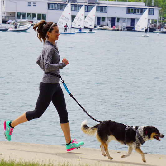 Hands-Free Dog Leash with Waist Belt