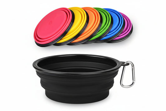 Foldable Travel Bowl