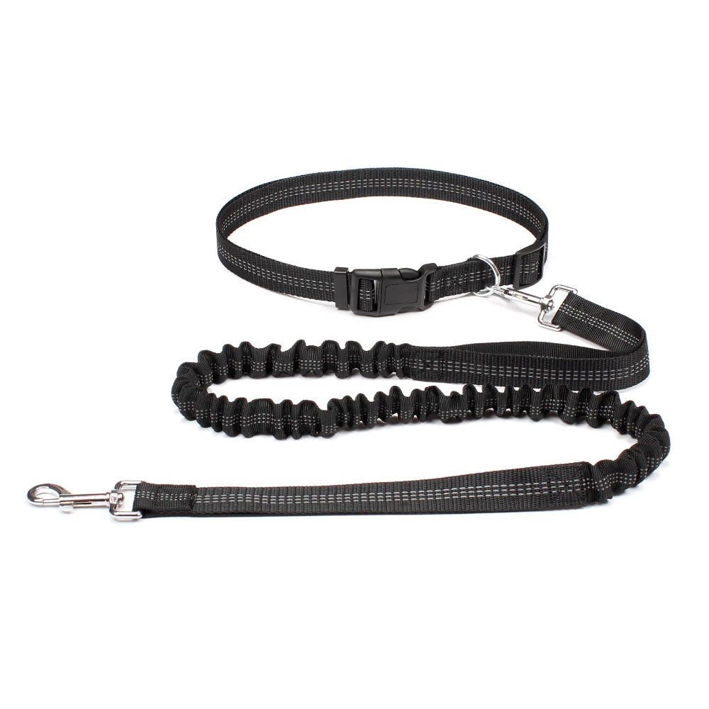 Hands-Free Dog Leash with Waist Belt