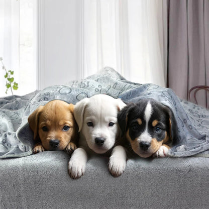 Ultra Soft Pet Blanket