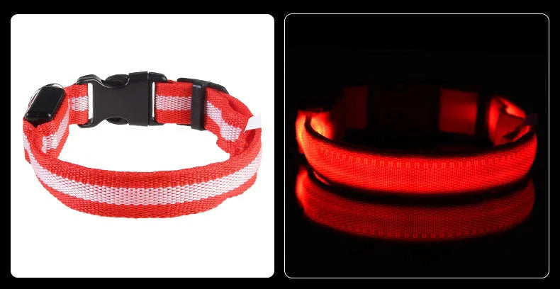 GlowSafe LED Dog Collar
